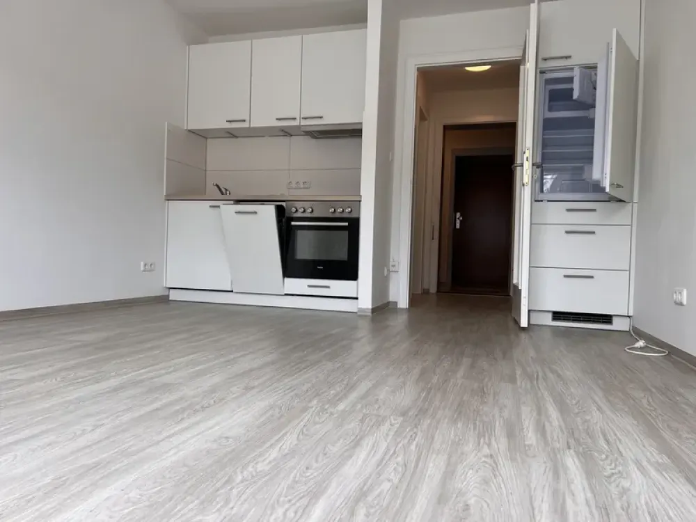 ***Neu renoviertes 1 Zimmer App. mit Balkon in Giesing***