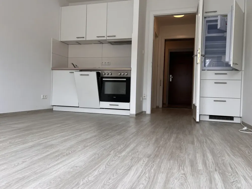 ***Neu renoviertes 1 Zimmer App. mit Balkon in Giesing***