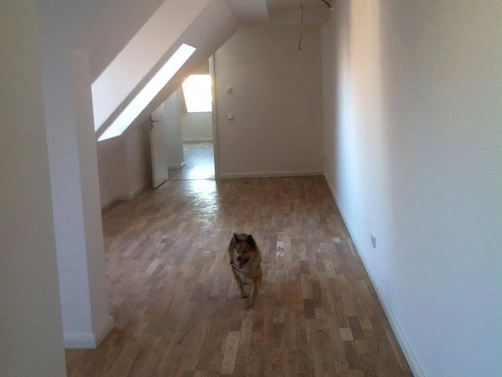 2 Zimmer Wohnung im Herzen Weißensee's !
