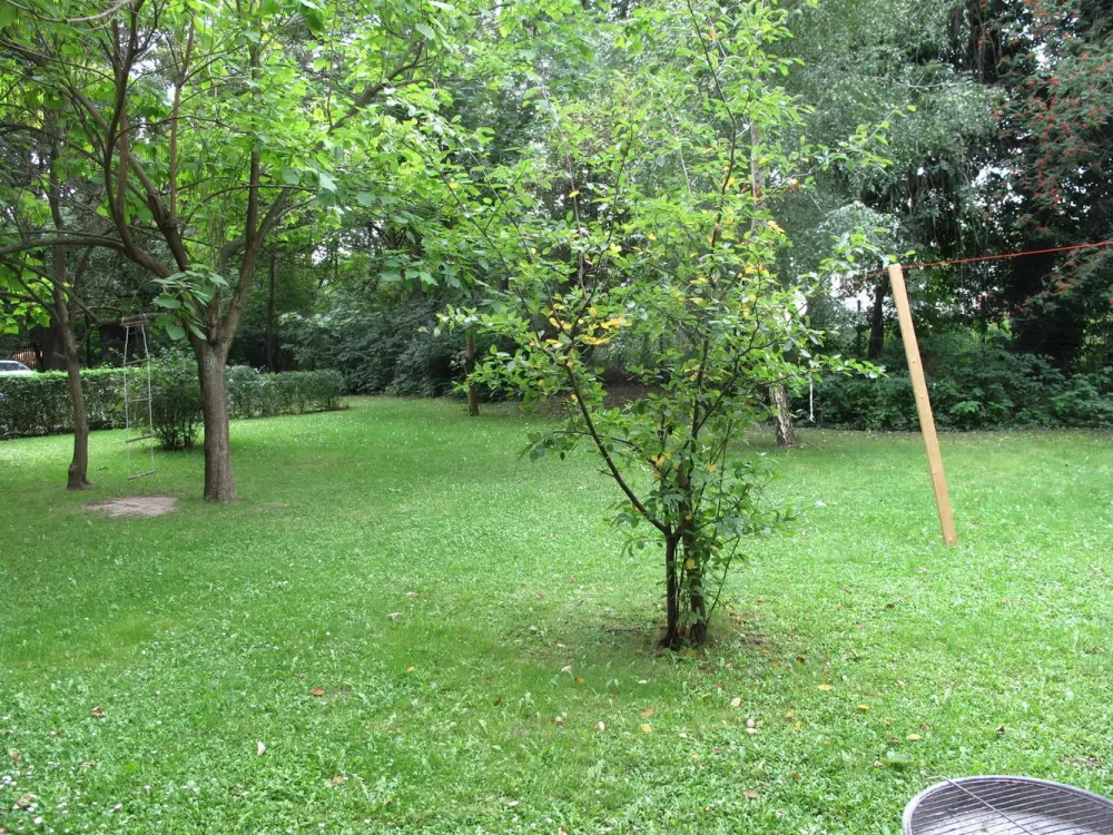 Ruhige Zentrumslage Nähe Clara-Zetkin- Park. Große Wohnküche. Großer Südbalkon