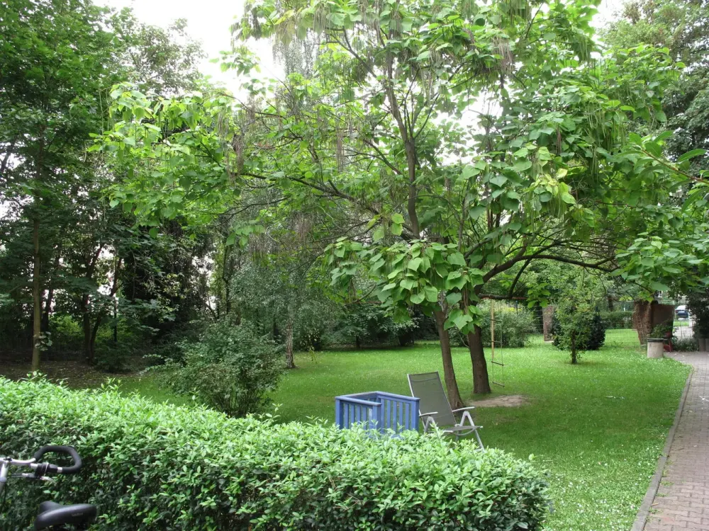 Ruhige Zentrumslage Nähe Clara-Zetkin- Park. Große Wohnküche. Großer Südbalkon