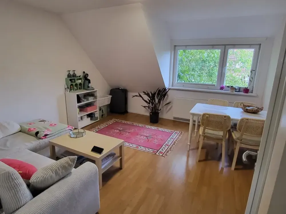 2 Zimmer Neustadt - süsse und moderne Wohnung