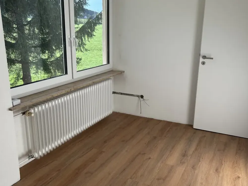 Frisch renovierte 3-Zimmer-Wohnung mit traumhaftem Blick ins Grüne, Niederdorf