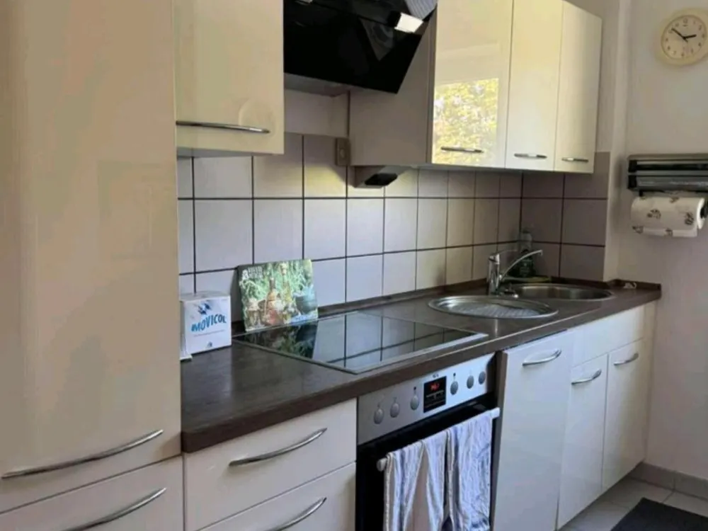 Furnished 3-Room Apartment with Terrace