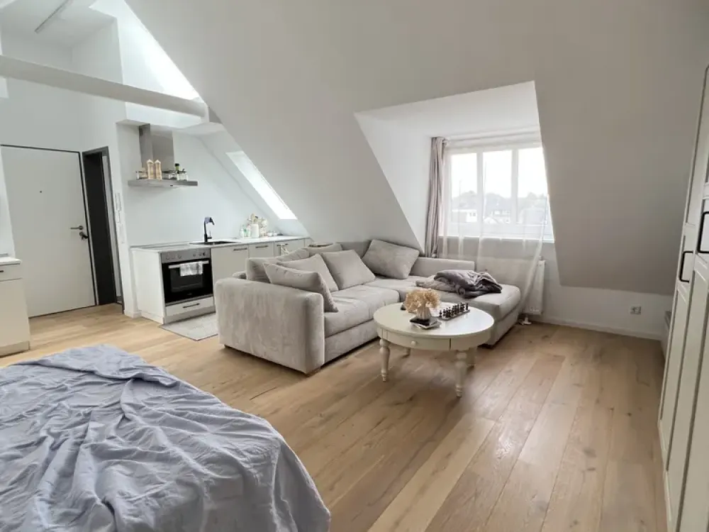 1-Zimmer-Apartment nähe Schloss