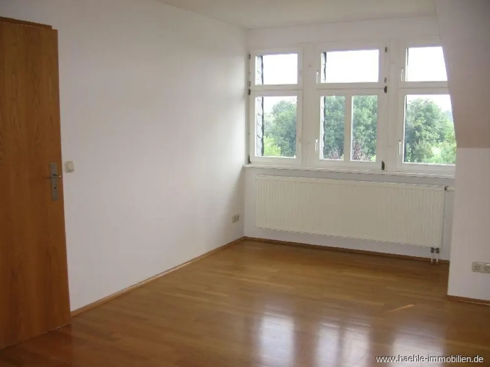Individuelle großzügige 1 Zimmer Wohnung mit EBK in historischem Ensemble in Dresden Stetzsch - frei ab 01.11.2026