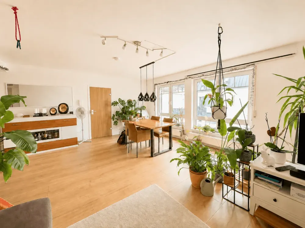 Appartment in TOPLAGE zu vermieten ab Oktober
