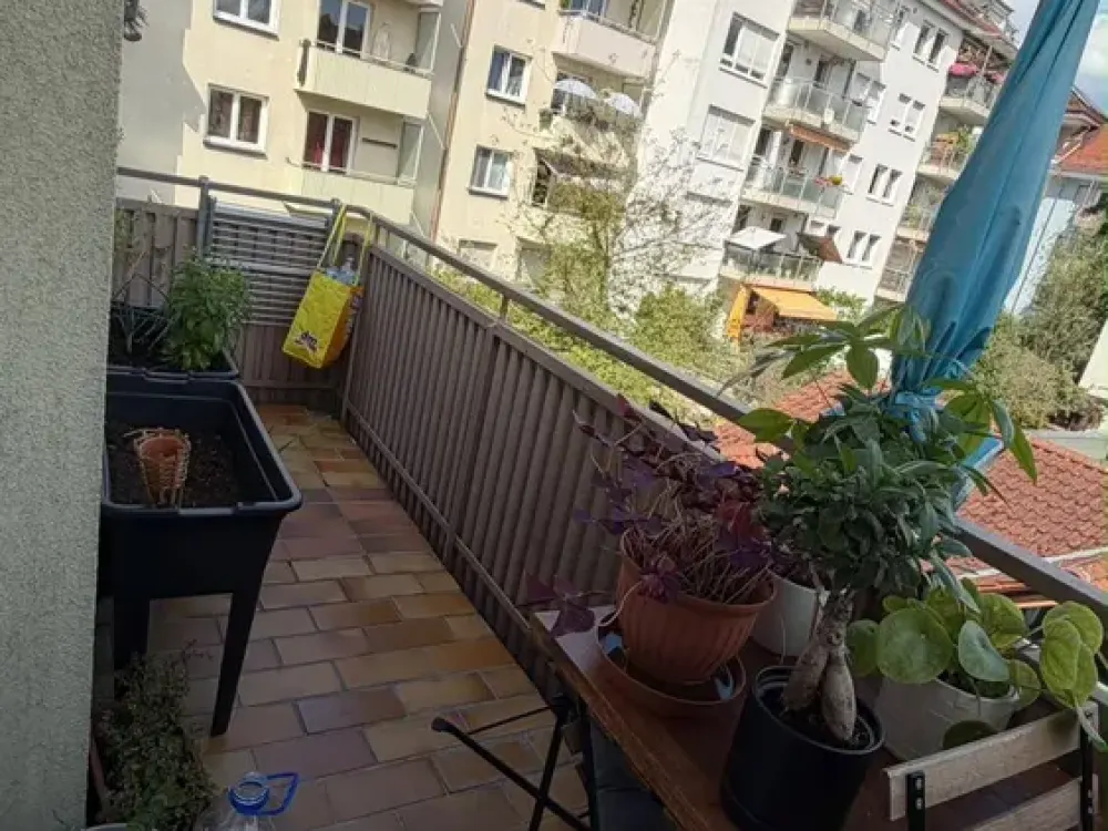 Nachmietersuche! Küchenübernahme möglich - helle 2-Zimmer-Wohnung im beliebten Wöhrd!