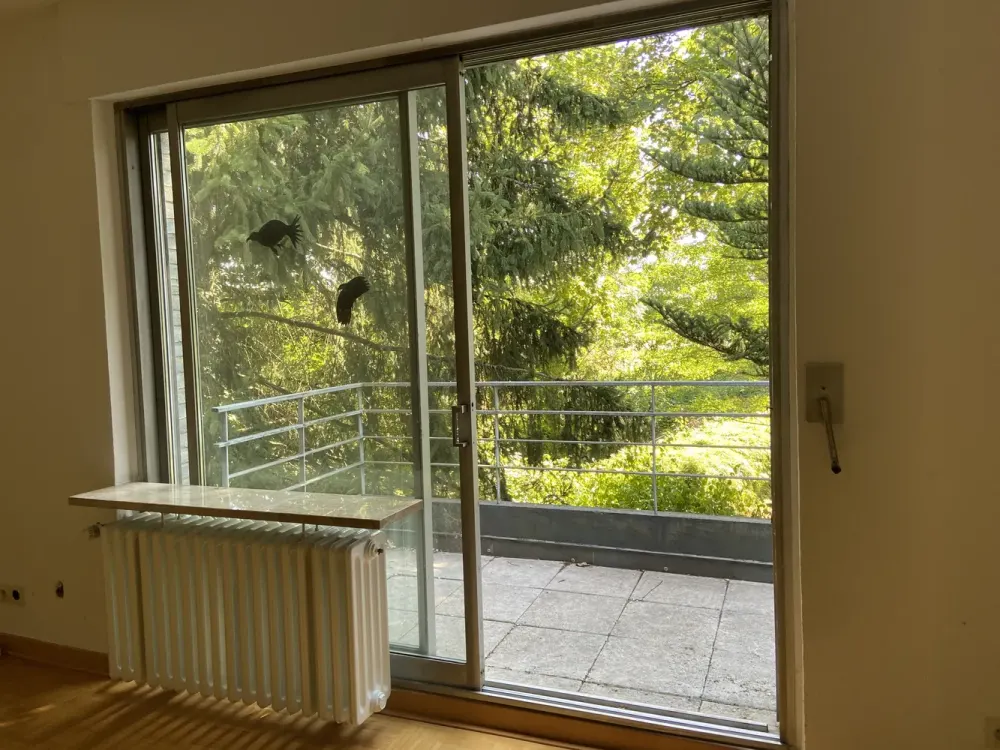 ruhig wohnen: 2-Zimmer-Wohnung im Grünen: Düsseldorf-Hubbelrath