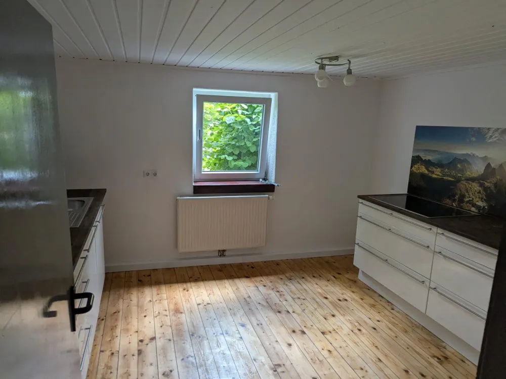 Spacious 2-Room Apartment, Kitchen, Terrace, Renovated, Quiet