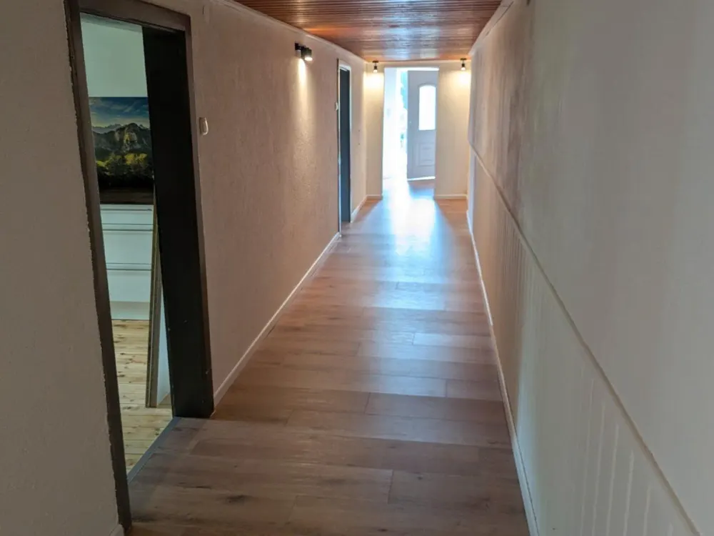 Spacious 2-Room Apartment, Kitchen, Terrace, Renovated, Quiet