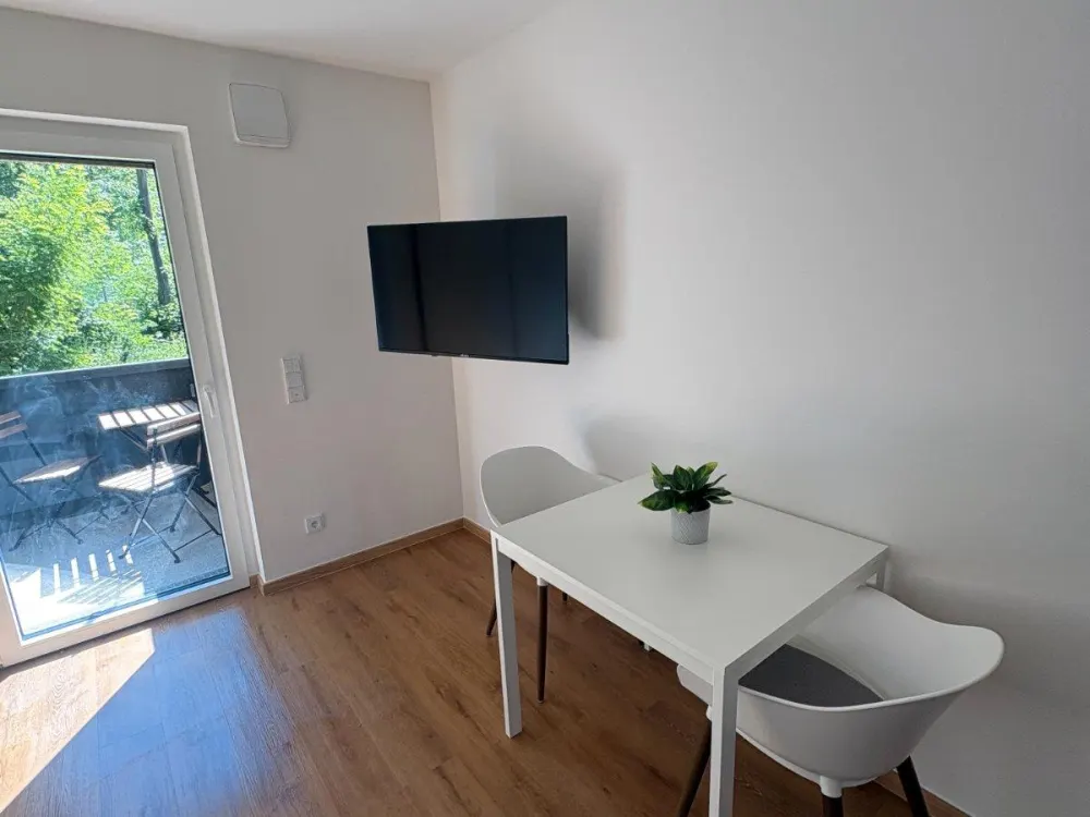1-Zimmer-Apartment mit schönem Balkon