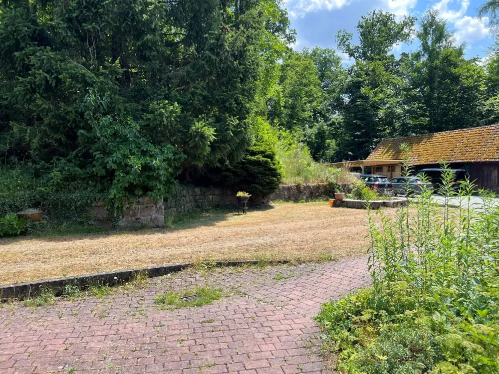 Großzügige 3-ZW mit Kachelofen, Waldrand, Garten, Dusche und Wanne, Heizung und Fenster neu