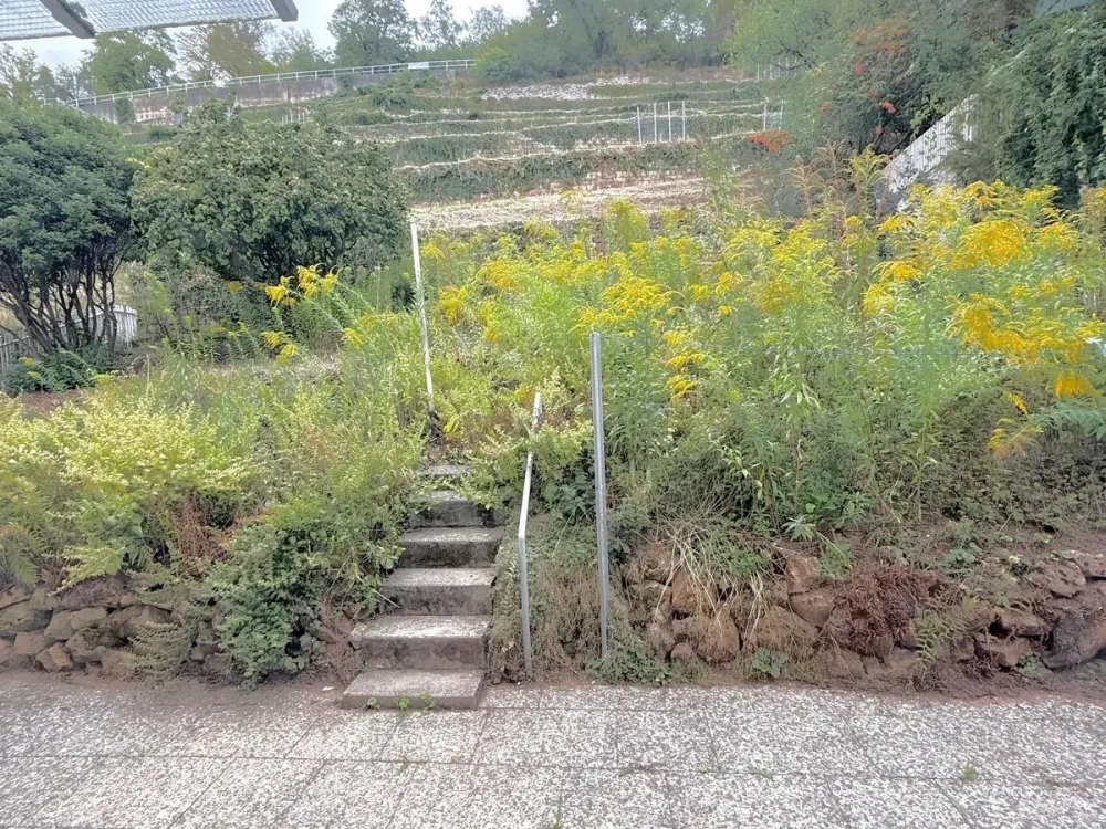 Obertürkheim 3 Zimmer 100qm