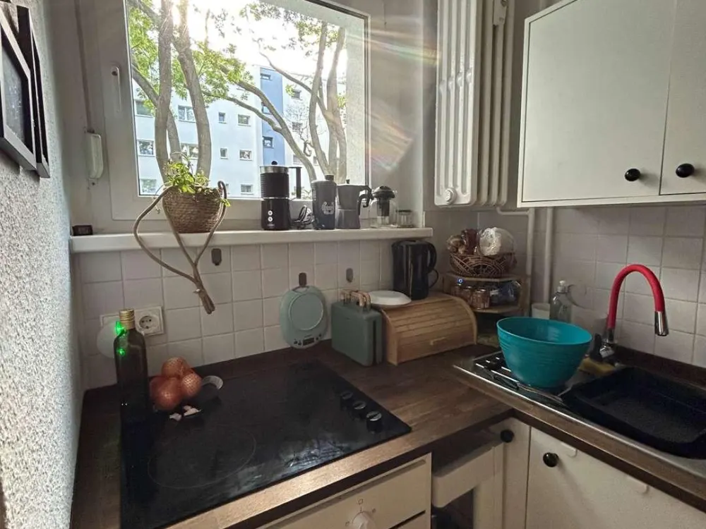 Landeseigene 1Z Tauschwohnung mit großem Garten