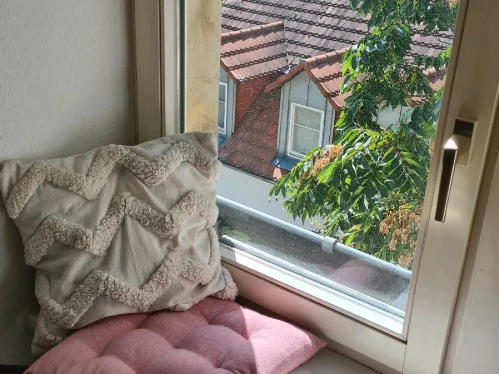 2 Zimmer Wohnung in der Neustadt
