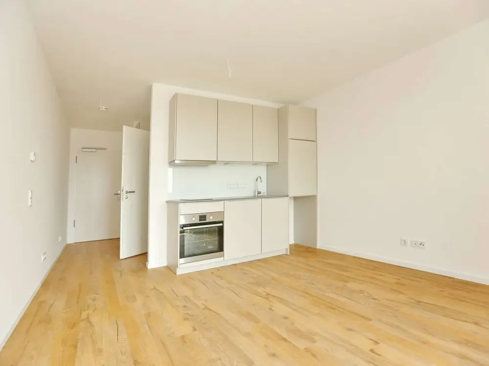 Smyles - schönes Apartment mit EBK