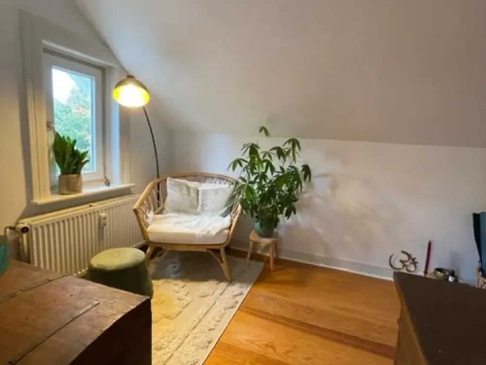 Dachgeschoss in Jugendstilhaus direkt am Jenischpark mit Terrasse und eigenem Garten