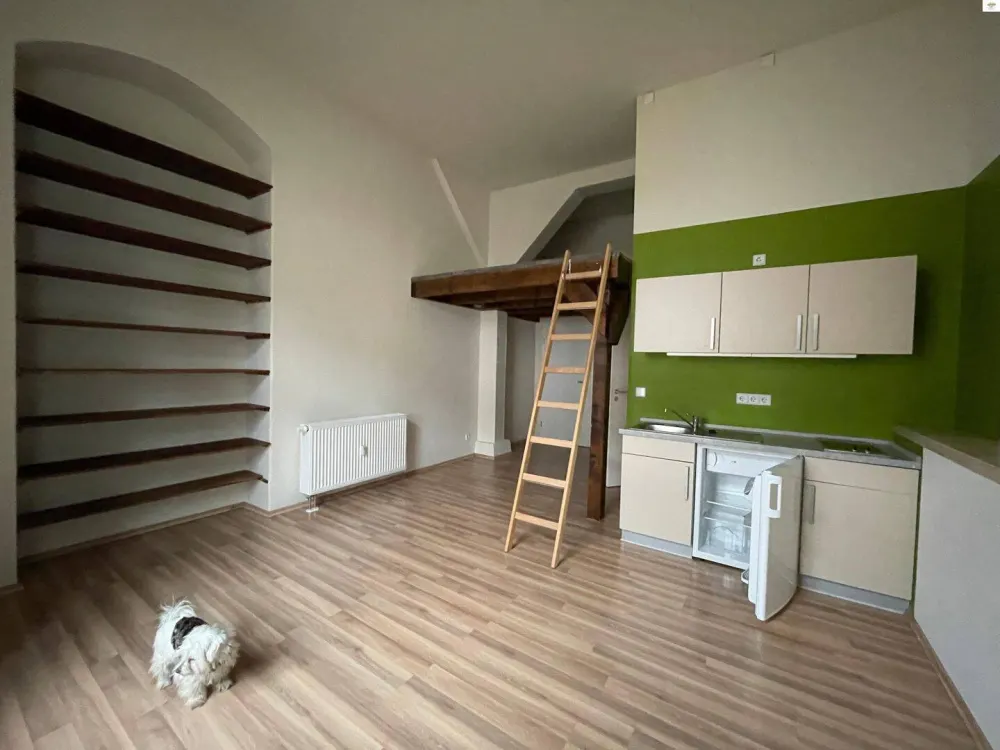 Apartment mit Hochbett im Zollhof- Dresden