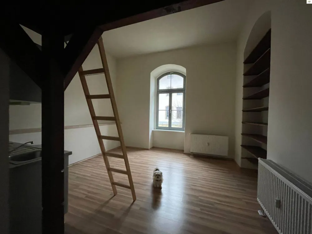 Apartment mit Hochbett im Zollhof- Dresden