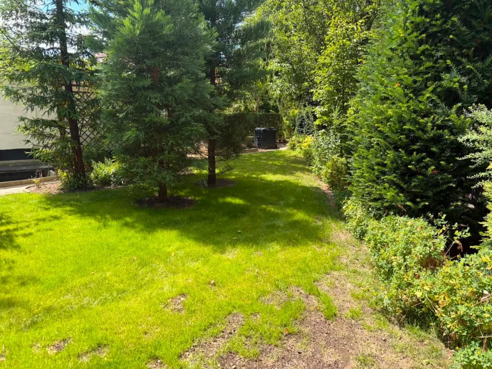 2-Zimmer-Wohnung mit Garten