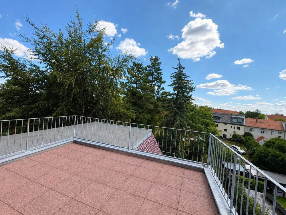 Großzügige lichtdurchflutete 4-Zi Wohnung mit EBK, Balkon und Dachterrasse