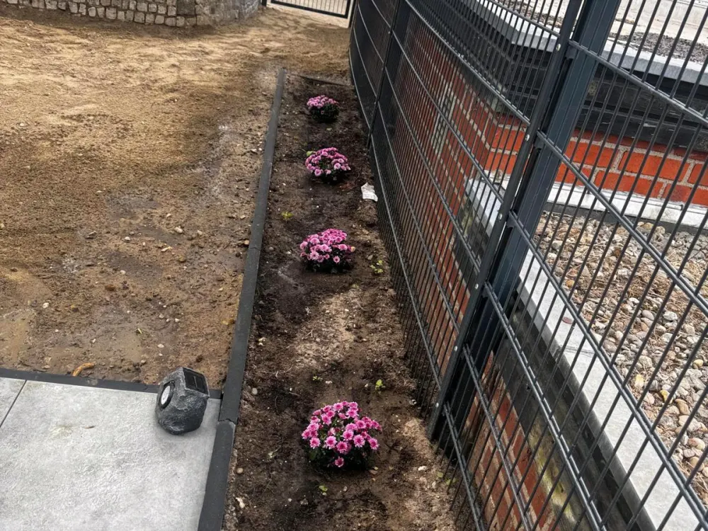 Wohnung zu vermieten 2 zimmer mit garden ab november frei