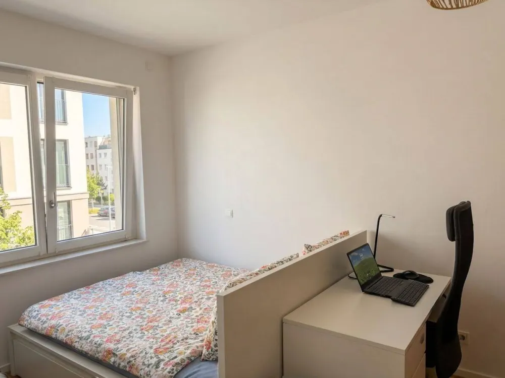 Gemütliche 2 Zimmer Wohnung zur Miete in Leipzig - Wentzel Dr.