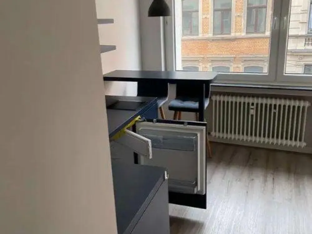 modernes Appartement im 2.OG am Hansaring mit EBK