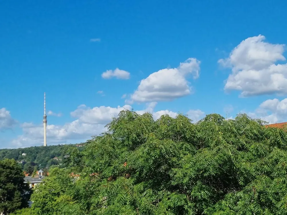 Ruhige Lage trifft gepflegten Wohnkomfort, 3-Zimmer-Wohnung mit Balkon in Tolkewitz