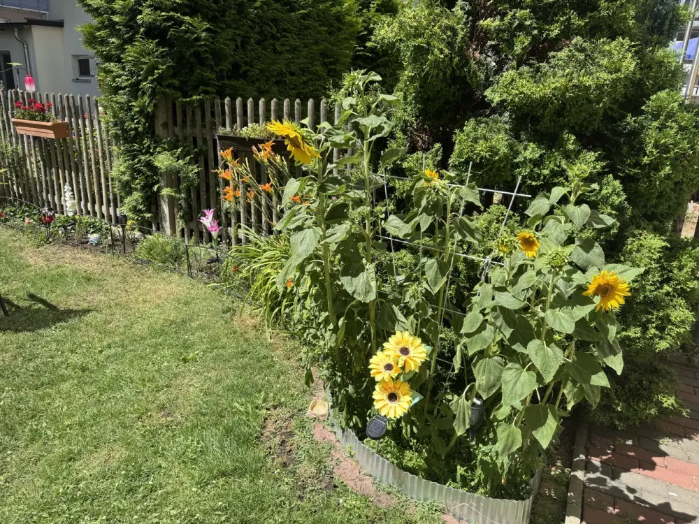 2.5 Rooms in Erfurt City Centre - Near FH/HMU/UNI - Ideal for Singles or Couples - with Garden Use!