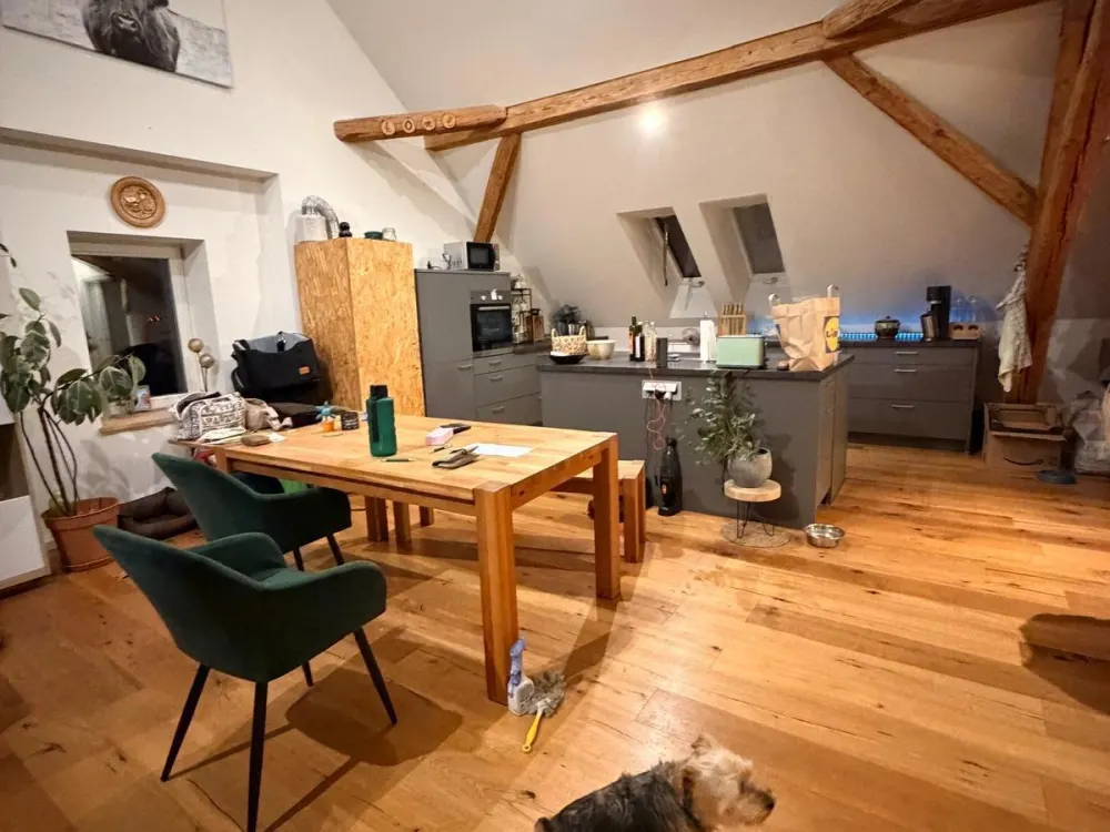 3 Zimmer Wohnung