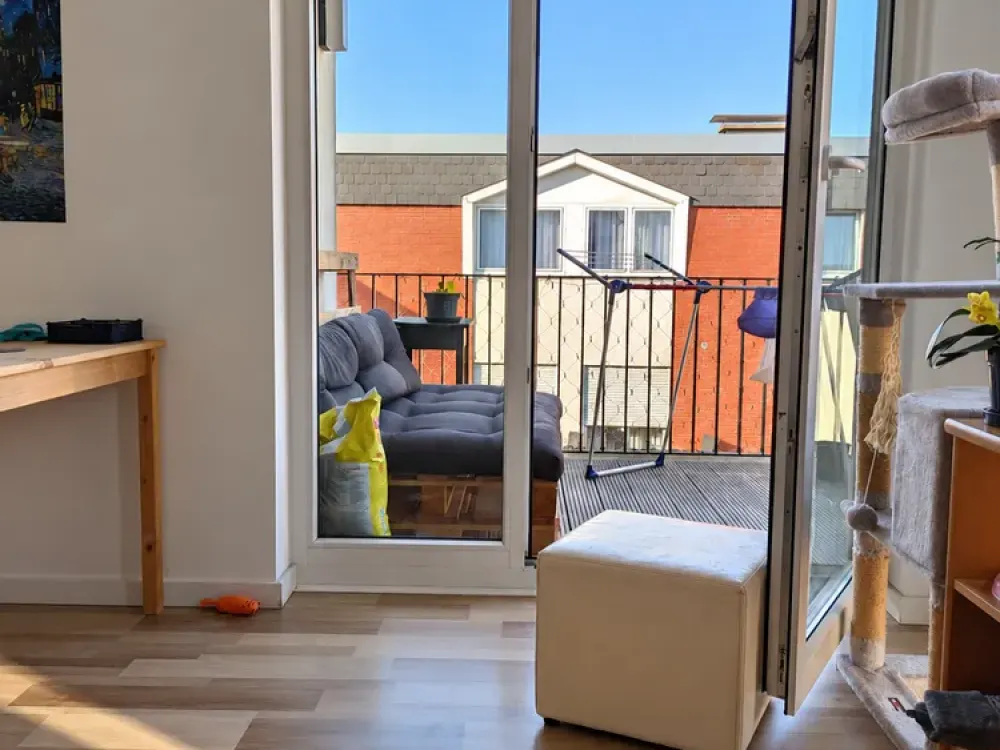 Experience Münster: 2-Room Apartment with Balcony in Neutor