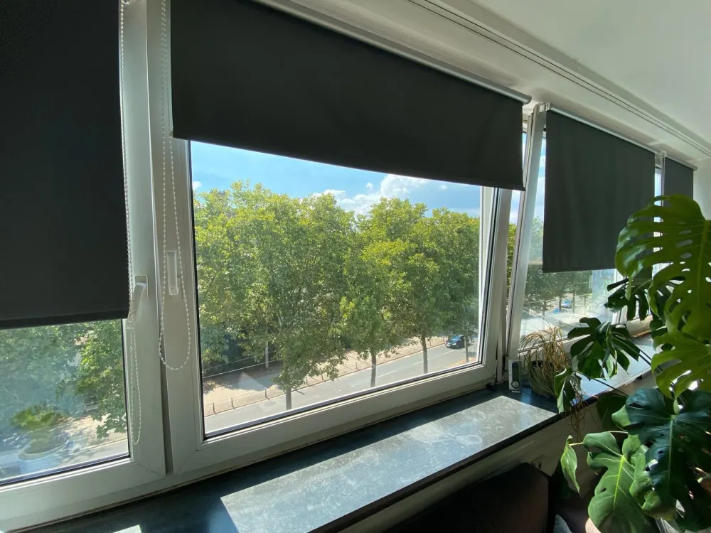 Schönes 1. Zimmer Apartment SB Innenstadt mit großzügiger Belichtung/Aufzug
