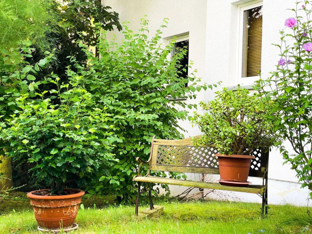 2 Zi Wohnung - Großzügig gedacht!