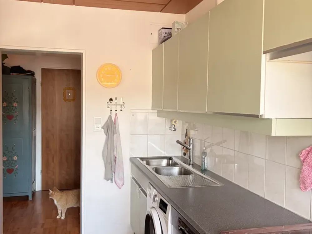 Bright 3-Room Apartment with Balcony and Underground Parking Space in Neu-Esting