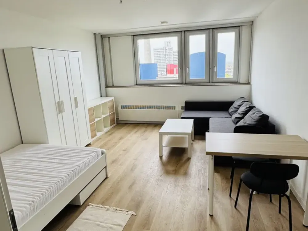 Charmantes 1-Zimmer Apartment in Köln-Neuehrenfeld