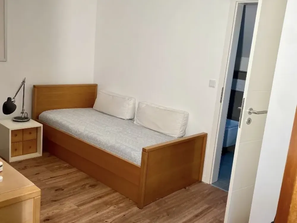 Small Furnished Single 1.5-Room Apartment with Garden