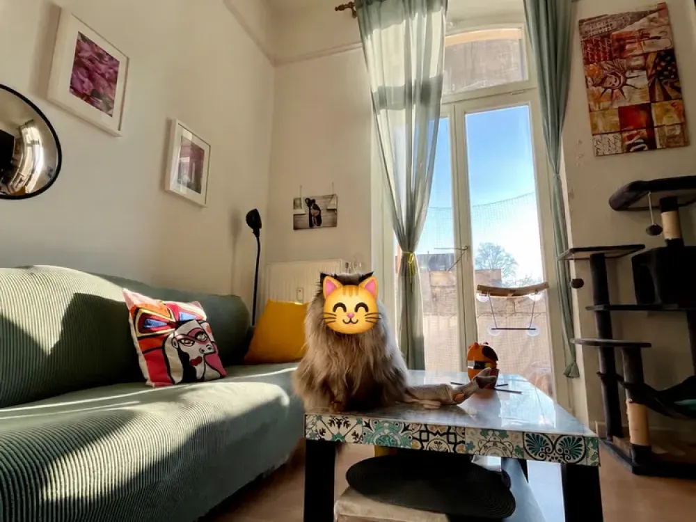 Sonnige 2-Zimmer-Altbauwohnung mit großem Balkon in Köln-Ehrenfeld