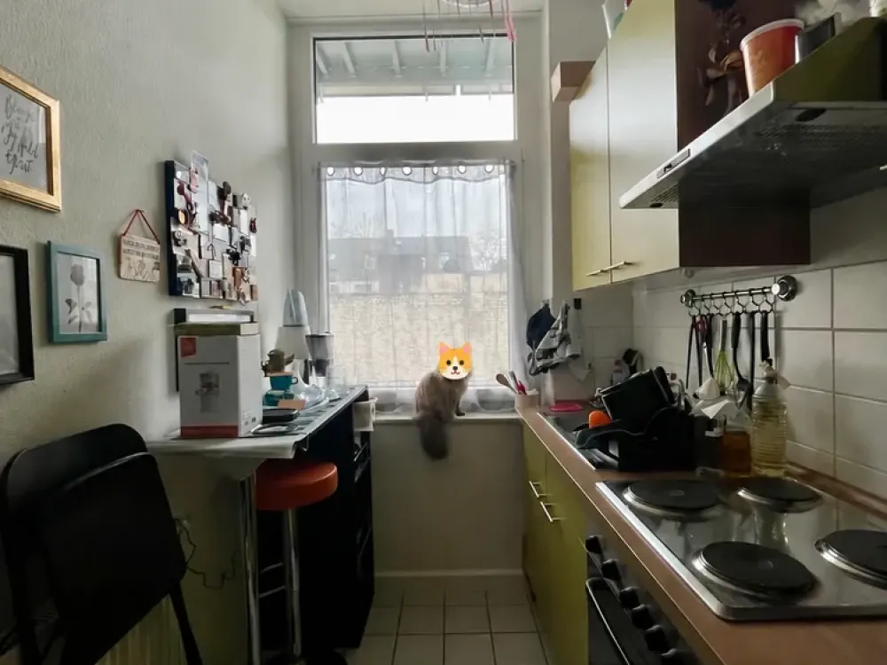 Sonnige 2-Zimmer-Altbauwohnung mit großem Balkon in Köln-Ehrenfeld