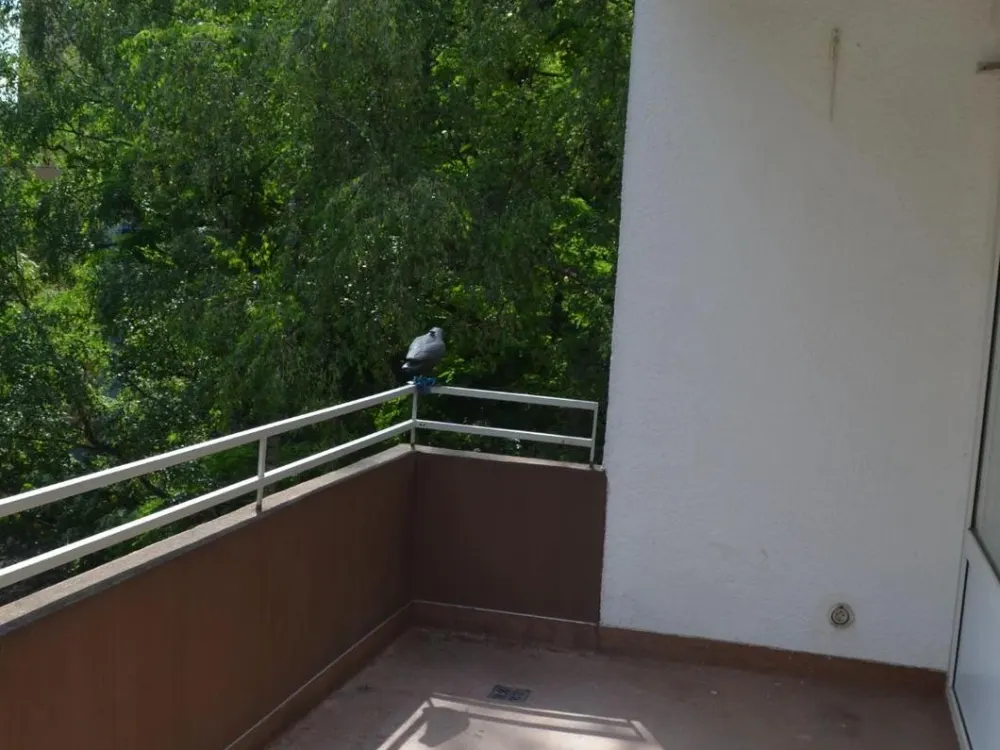 Provisionsfreie 4Zimmer Wohnung in Frankfurt geeignet als 3er WG ab sofort zu vermieten