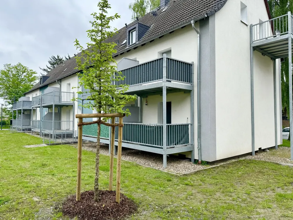 Kuscheliges Nest unter'm Dach