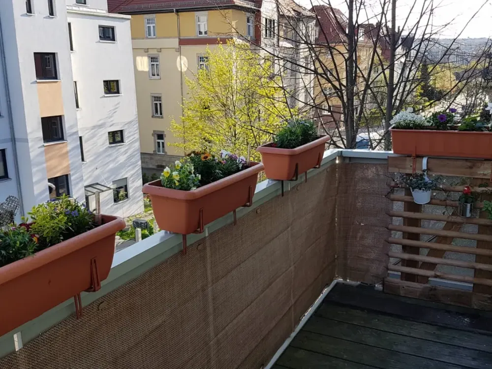 Well-maintained 2-room apartment with balcony and fitted kitchen in Dresden
