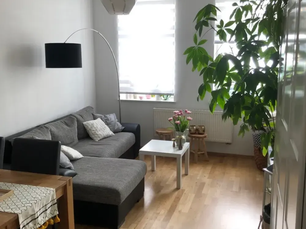 Schöne 3-Zimmer-Wohnung mit Terrasse, Parkett & Gartenmitbenutzung in Leipzig-Möckern