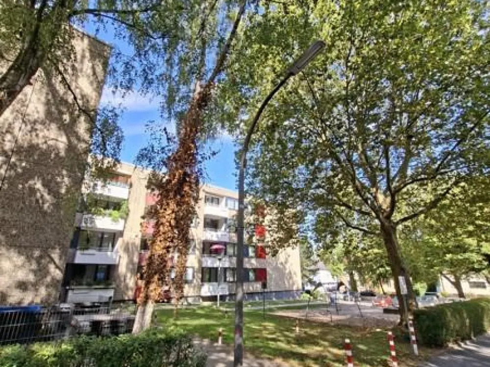 Ein Träumchen im Grünen!