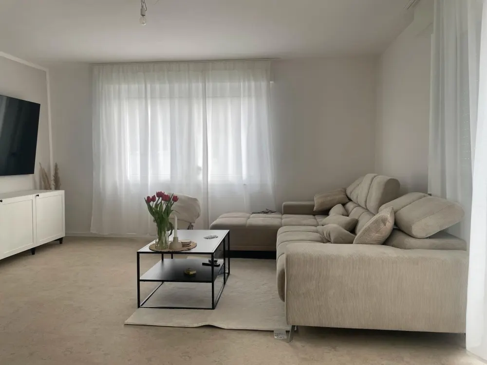 Modern, Renovated 3-Room Apartment with Fireplace