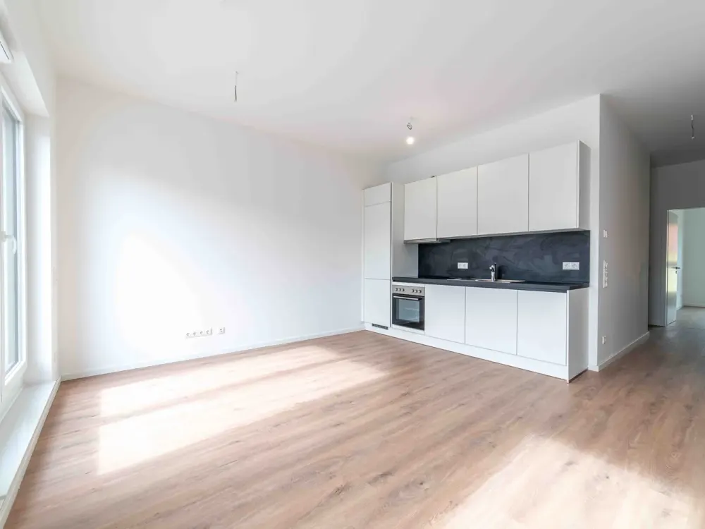 Bright Penthouse Apartment with 3 Bedrooms Apt 151