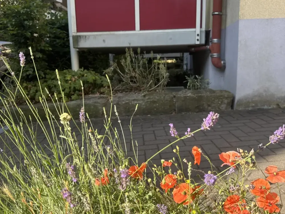 Barrierefreie, seniorengerechte 2-Zimmer-Wohnung mit Balkon in Wehringhausen