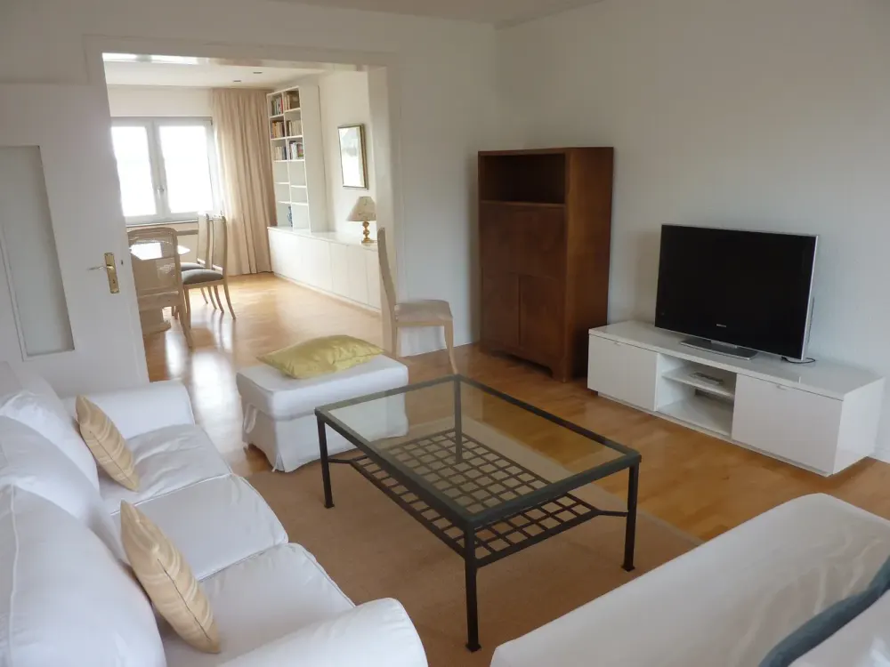 Expats ! - Oberkassel, great Rhine view, furnished 2-3 room apartment with large balcony