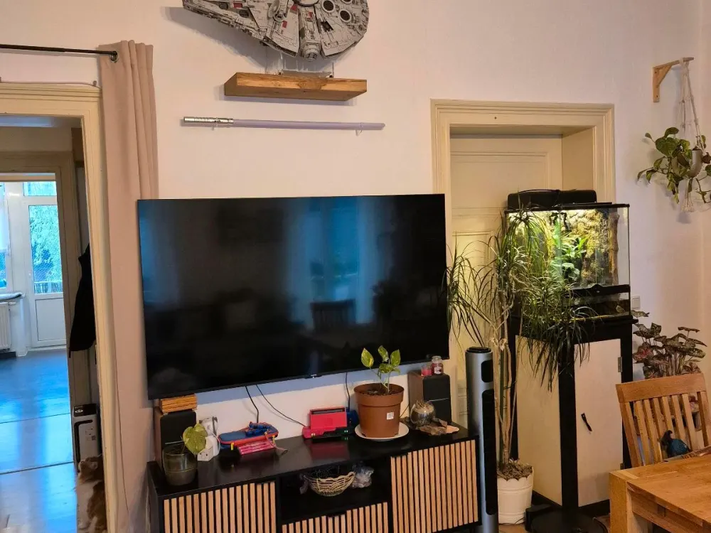 3-Zimmer-Wohnung nähe Dresden - Pirna - Elbparadies